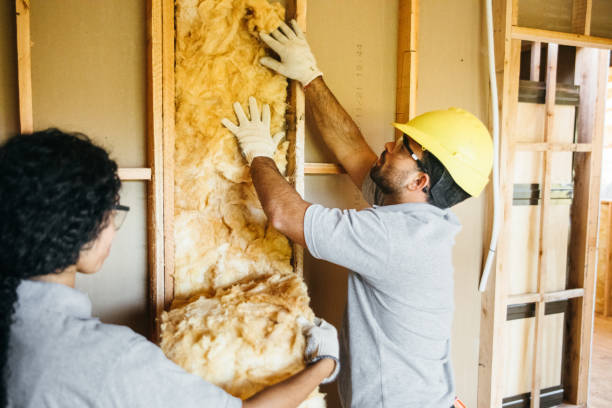 Best Insulation for New Construction  in Bridgeport, TX