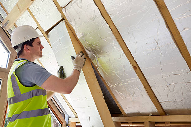 Best Professional Insulation Contractor  in Bridgeport, TX